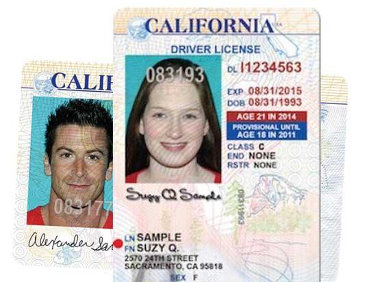 where to find my drivers license number